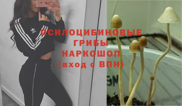 MESCALINE Армянск
