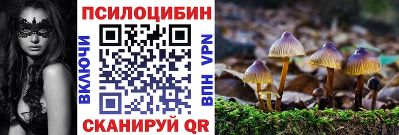 Псилоцибиновые грибы мицелий  купить  цена  Феодосия 